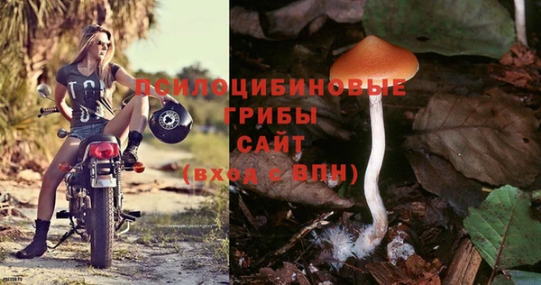 гидра Армянск