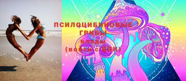 эйфоретик Аркадак
